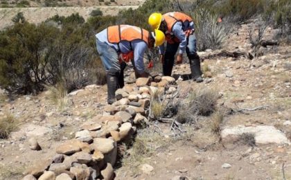 Collection system rehabilitation 34.5 kv. Energía Sierra Juárez