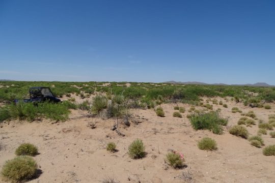 Borde Solar Juárez-Chihuahua