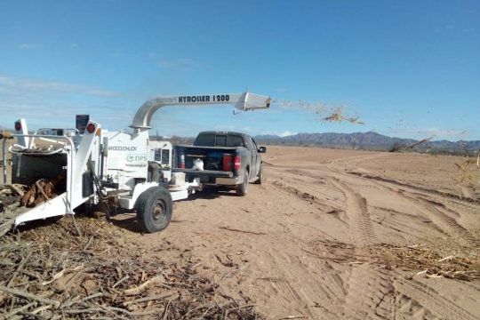 Crushing of plant material in Puerto Libertad Sonora